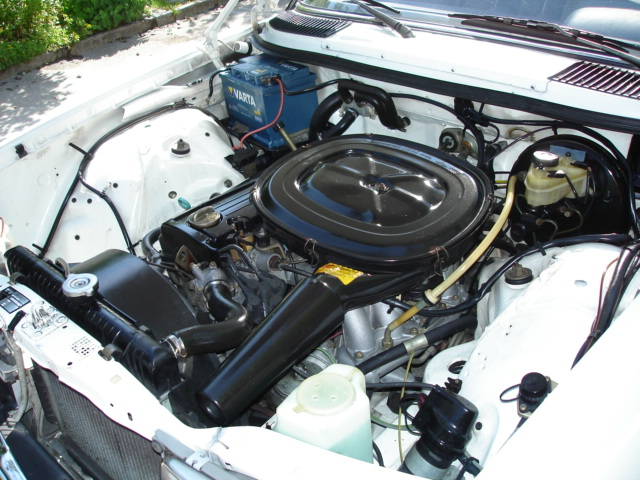 M102 variklis w123 kėbule